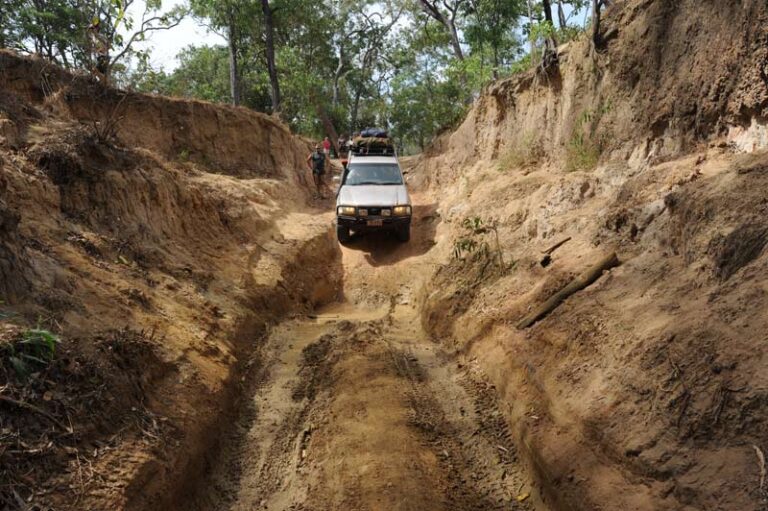 Real-4x4-Adventures-Cape-York-16-OTT1