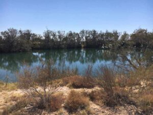 Real-4x4-Adventures-Dalhousie-Springs-Simpson-Desert-Water