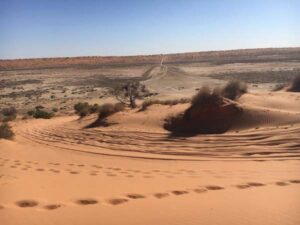 Real-4x4-Adventures-Simpson-Desert-2018-Simpson-Desert-trip-Big-Red-Sand-dune