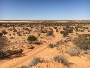 Real-4x4-Adventures-Simpson-Desert-track-2018-Simpson-Desert-trip