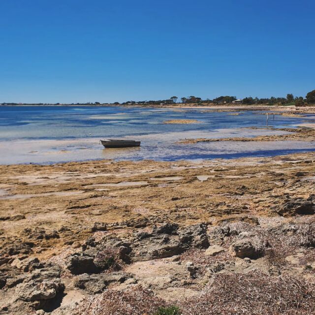 Len Barker Reserve is a great little camp site just 10 mins from Point Turton. There is no power or water but there is a drop toilet (there is also a full caravan park with facilities at Point Turton). There are some great little tidal pools to explore and for kids to play in. 

If you don't feel like cooking both Salt Food and Events and Tavern on Turton have takeaway meals but are also pet friendly for those travelling with dogs and want to eat out 👌