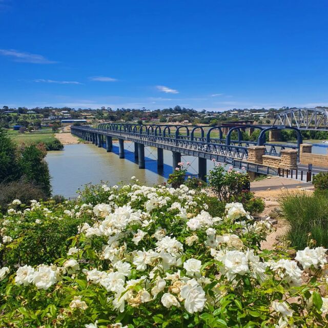 Murray Bridge, the memorial garden and round house. We've had a great time exploring the area.