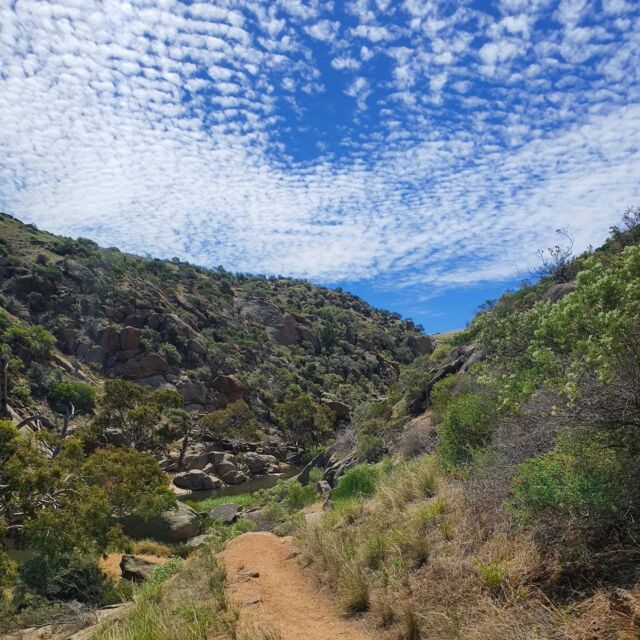 A short drive from Murray Bridge to Mannum water falls which offers some great walking trails and swimming holes to cool off. Not much in the way of flowing water when we were there but still really enjoyed it 🙂
