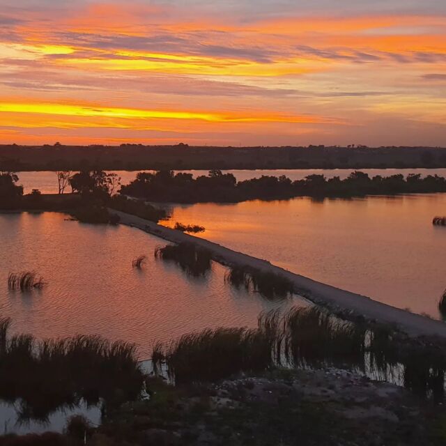 Murray river turning it on again 😍