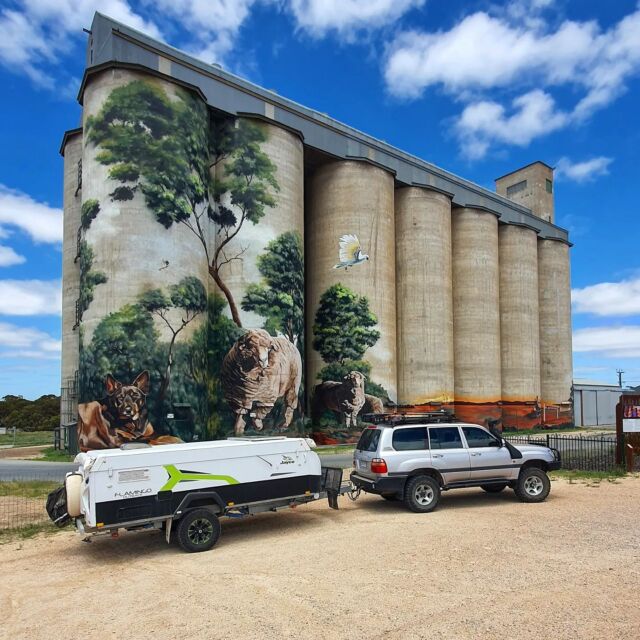 The silo art in Karoonda. Pretty amazing and as a side note there is also a great rest stop 👌